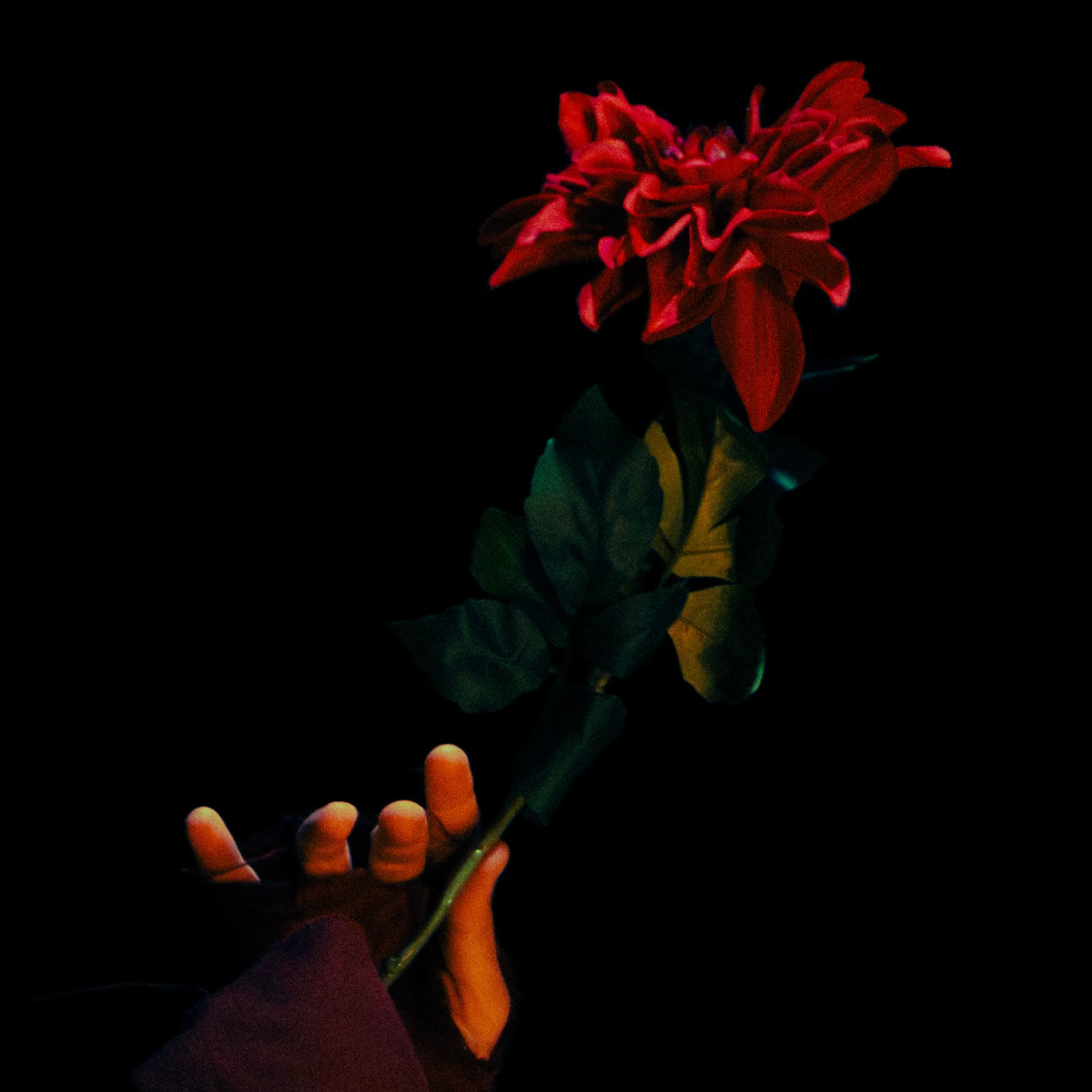 Il était encore une fois, image by Carla Jammes